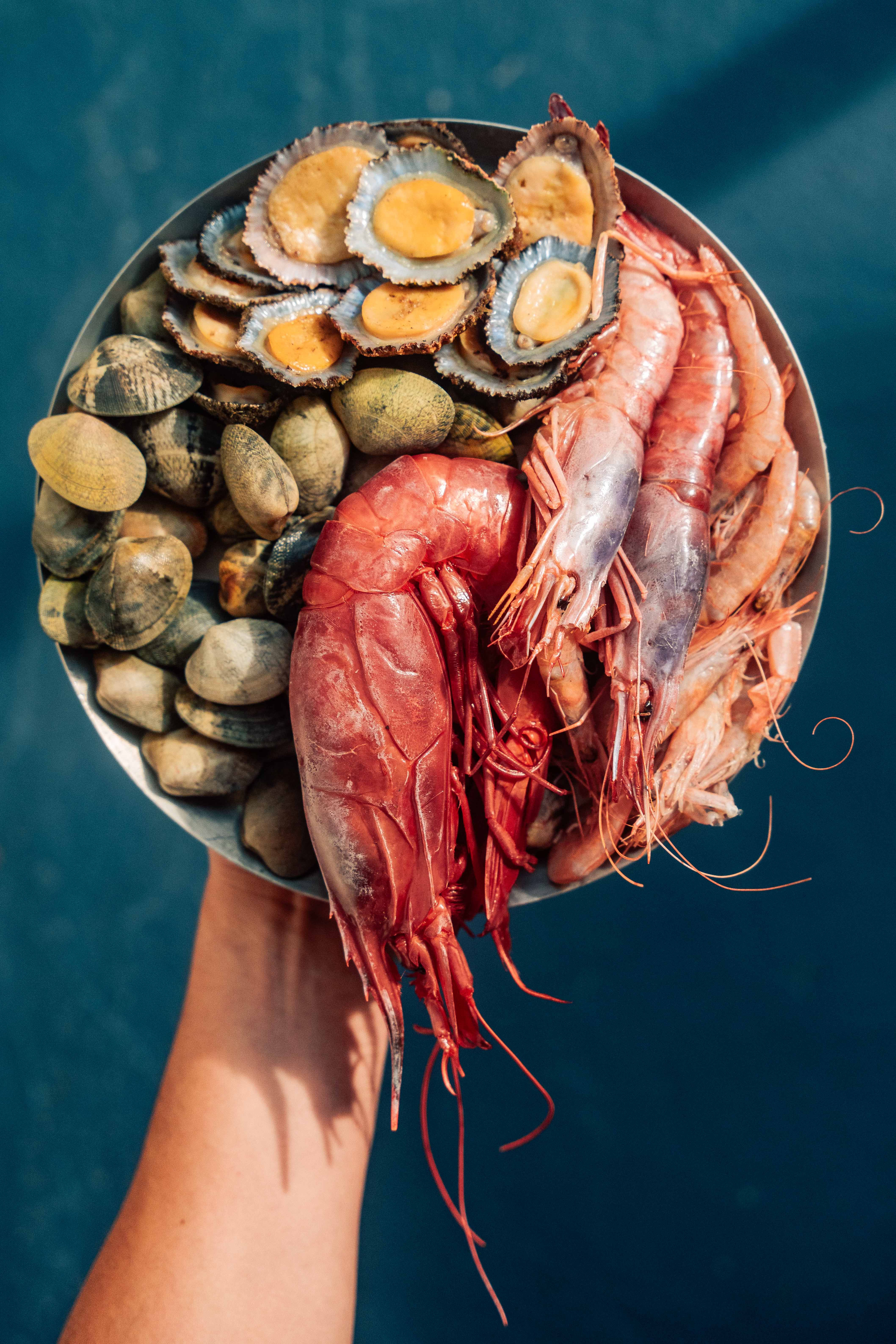 SIGNOMY GASTRONOMIA - Signomy Produções | Fotografia comercial e editorial produzida pela Signomy